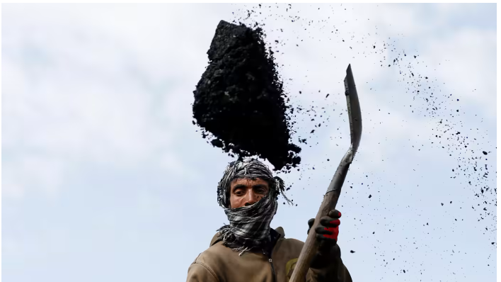 گزارش روزنامه جاپانی از نگرانی اسلام‌آباد؛ طالبان زغال‌سنگ را به "نرخ بین‌المللی" می‌فروشد