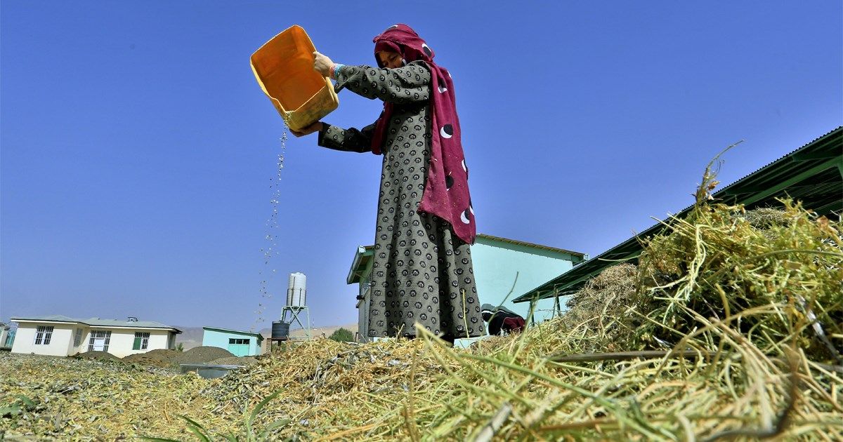 صندوق بازسازی افغانستان و بانک جهانی برای سه پروژه در افغانستان ۷۹۳ میلیون دالر اختصاص داد