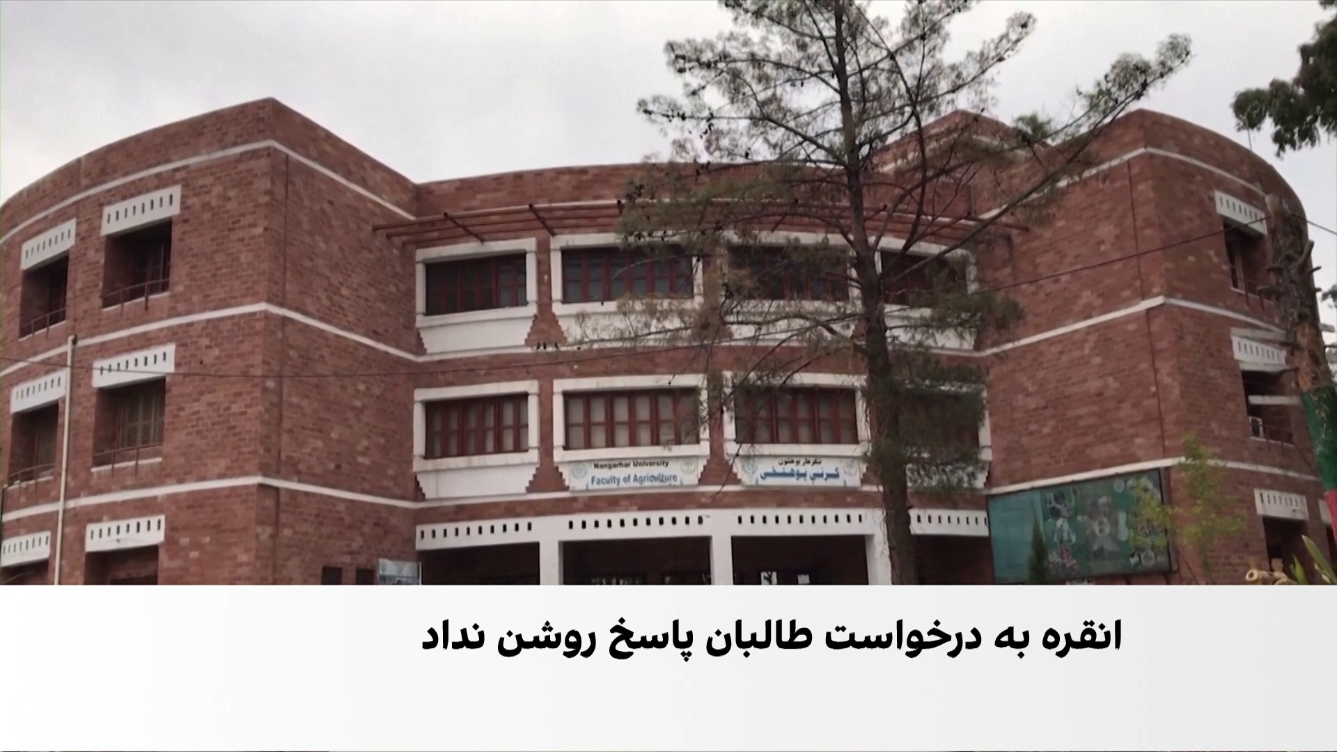 درخواست طالبان از ترکیه برای اعزام استاد و پزشک