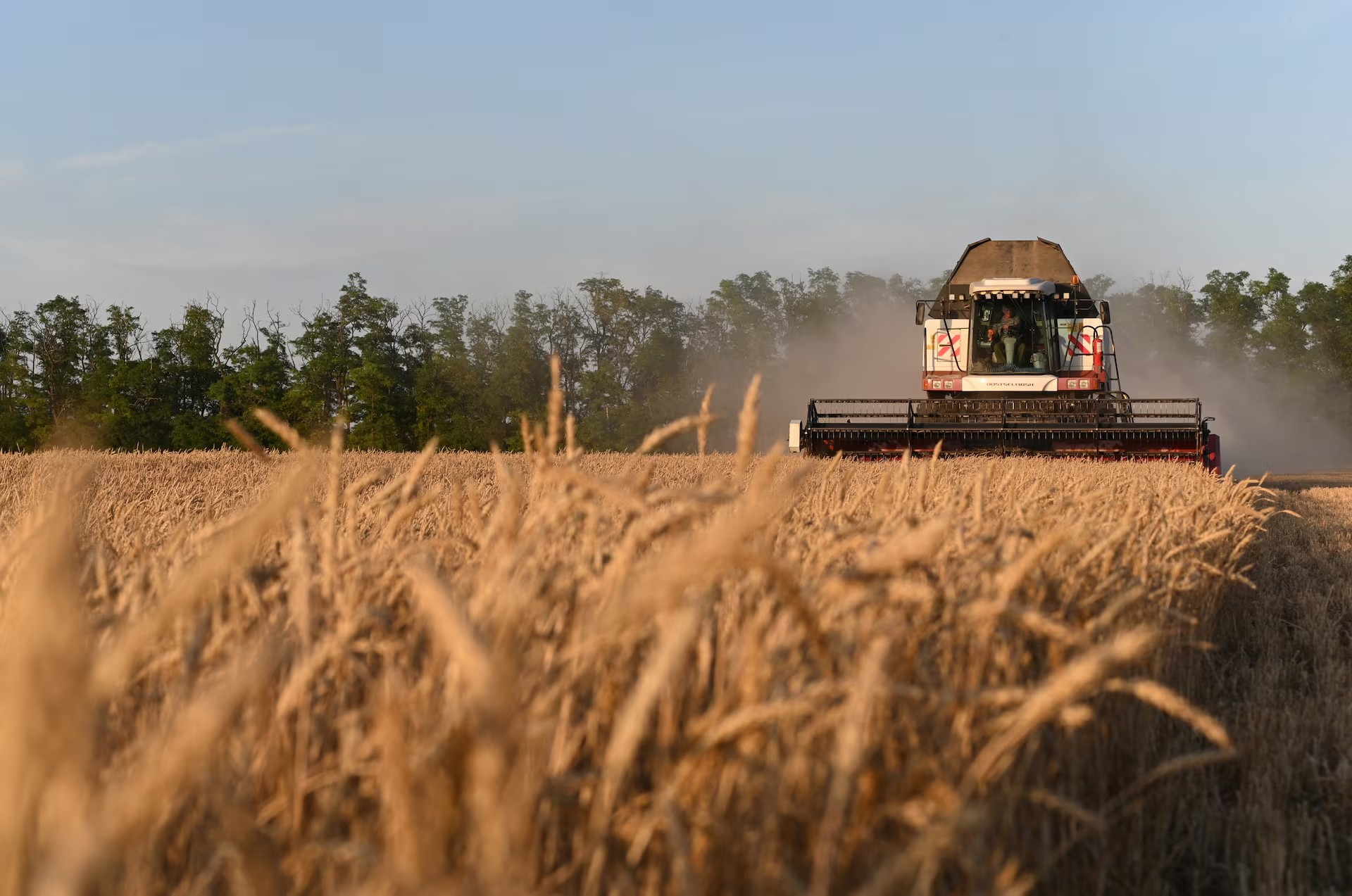 قزاقستان خپل غنم اوصادرات افغانستان ازبکستان او قرغیزستان ته زیات کړي