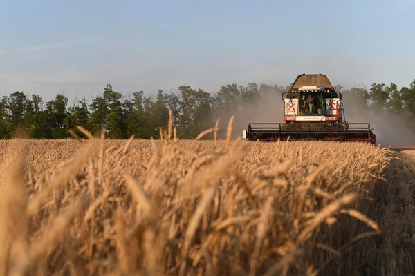 قزاقستان خپل غنم اوصادرات افغانستان ازبکستان او قرغیزستان ته زیات کړي