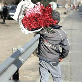 مدیرکل بهزیستی تهران: دو هزار کودک کار افغان به همراه خانوادههایشان از ایران اخراج شدند