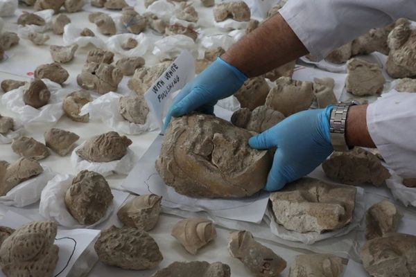 روز جهانی موزیم؛ پارسال ۲۱ هزار نفر از موزیم ملی افغانستان بازدید کردهاند