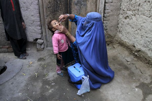 درغلۍ او کلتوري ننګونې؛ په افغانستان کې د ګوزڼ واکسین له جدي ستونزو سره مخامخ دی