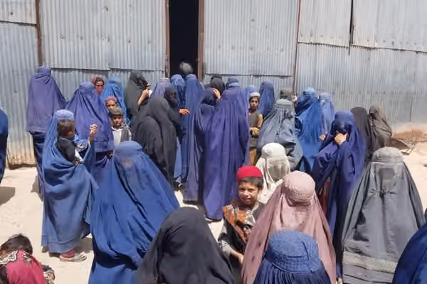 د ملګرو ملتونو د ښځو څانګه: پر افغان ښځینه کارکوونکو د کار بندیز یو کال پوره شو