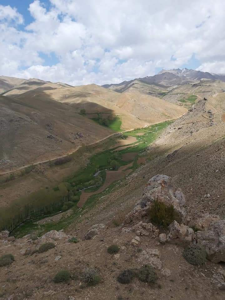 محمد محقق و کریم خلیلی: نهادهای حقوق بشری کشتار مردم دایکندی توسط طالبان را بررسی کنند