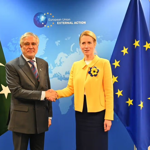 اروپايي ټولنې او پاکستان پر طالبانو د نړیوالو ژمنو د عملي کولو غږ کړی