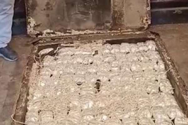 کشف و ضبط نزدیک به ۵۰ کیلوگرام مواد مخدر قاچاقشده از افغانستان در اوزبیکستان