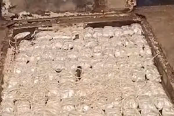 Uzbekistan Seizes Nearly 50 kg Of Drugs Smuggled From Afghanistan