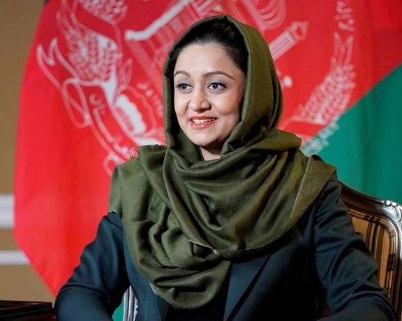 واکنش رویا رحمانی به گزارشی درباره معاش و امتیازهای "۳۰ هزار دالری" در واشنگتن دیسی