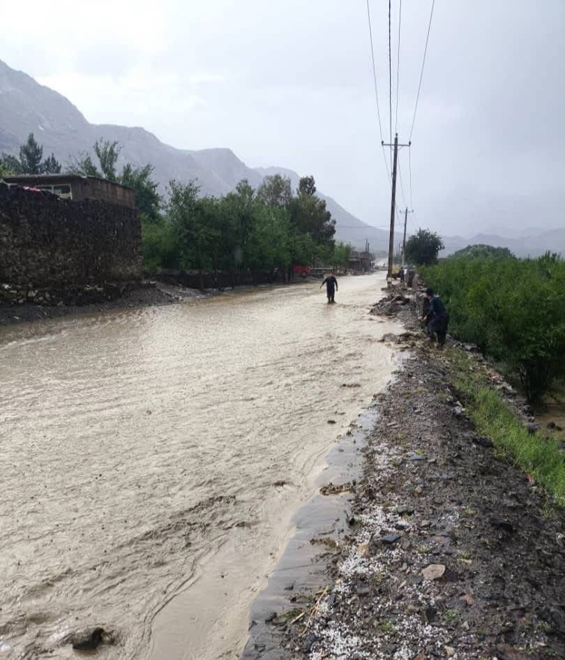 «سیل، طوفان و رعد و برق» در چند ولایت تلفات برجای گذاشت