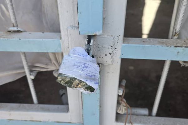 طالبانو په هرات کې د مالګې د پروسس او بسته بندۍ ۱۲ مرکزونه تړلي دي