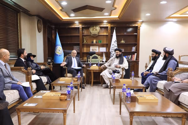 محمد نبي عمري د اروپایي ټولنې له استازي سره د مخدره توکو پر مخنیوي غږېدلی