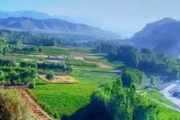 Taliban Expels Member After Girl He Forcibly Detained Commits Suicide