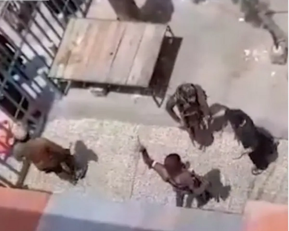 FORUM-ASIA Calls For Lifting of Restrictions on Rights of Shias, Hazaras Under Taliban