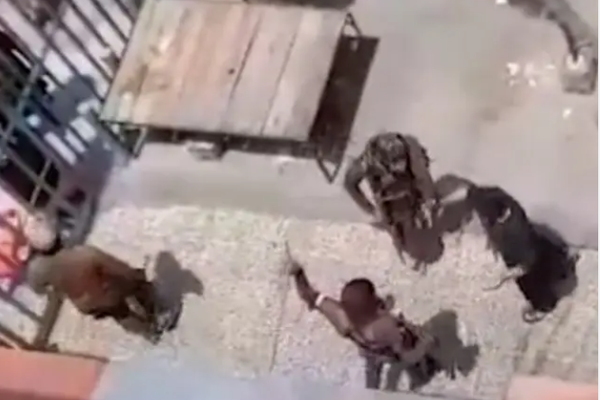 FORUM-ASIA Calls For Lifting of Restrictions on Rights of Shias, Hazaras Under Taliban