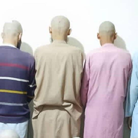 طالبانو سل روږدي کسان د درملنې لپاره روغتونونو ته وړي