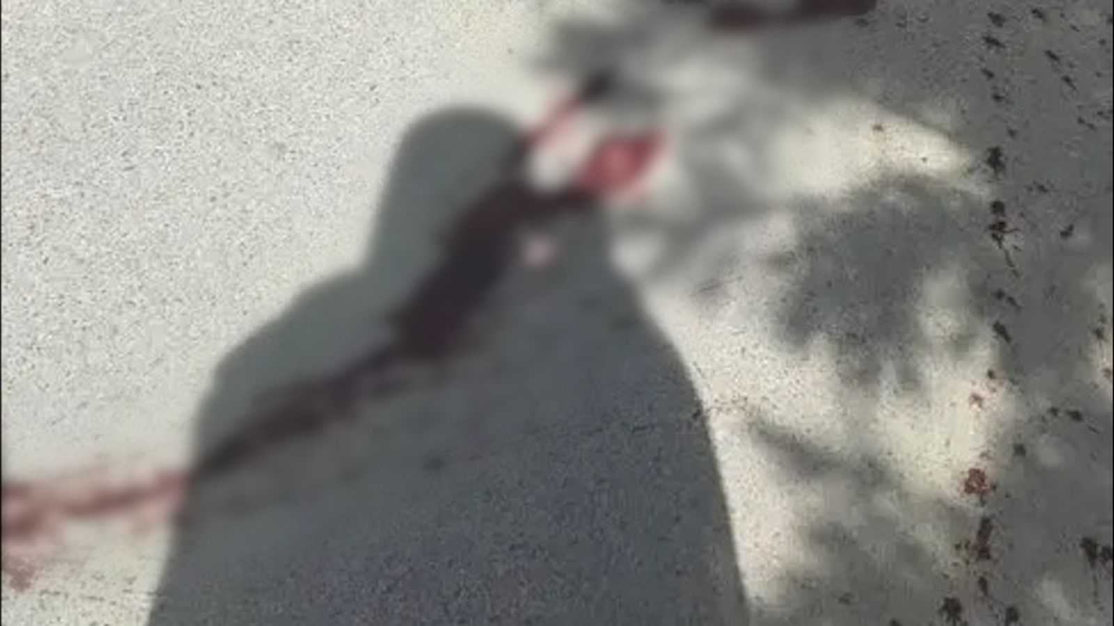 د ازادۍ او عدالت غورځنګ: طالبان له دین څخه د یوې وسیلي په توګه کار اخلي