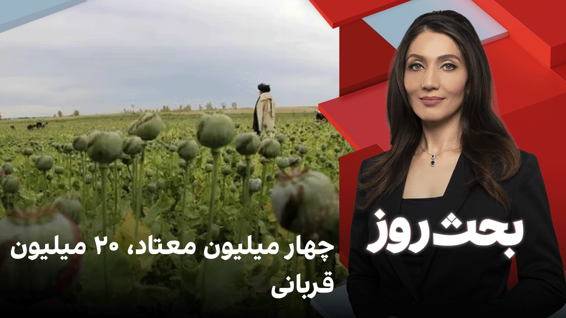 بحث روز: ۴ میلیون معتاد، ۲۰ میلیون قربانی