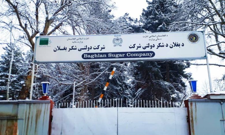 طالبان: د بغلان د بورې کارخونه مو بیا فعاله کړې، چې خلکو ته به د کار زمینه هم برابره شي