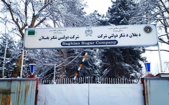 طالبان: د بغلان د بورې کارخونه مو بیا فعاله کړې، چې خلکو ته به د کار زمینه هم برابره شي