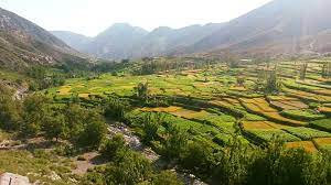 طالبان ۳۵ نفر را در کاپیسا در پی نزاع بر سر تقسیم جنگل بازداشت کرد