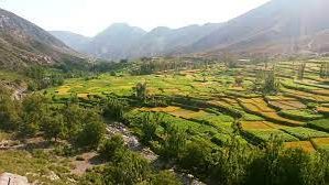 طالبان ۳۵ نفر را در کاپیسا در پی نزاع بر سر تقسیم جنگل بازداشت کرد