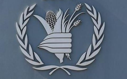 برنامه جهانی غذا میگوید به دلیل بحران مالی، کمکهایش به نیازمندان کاهش مییابد