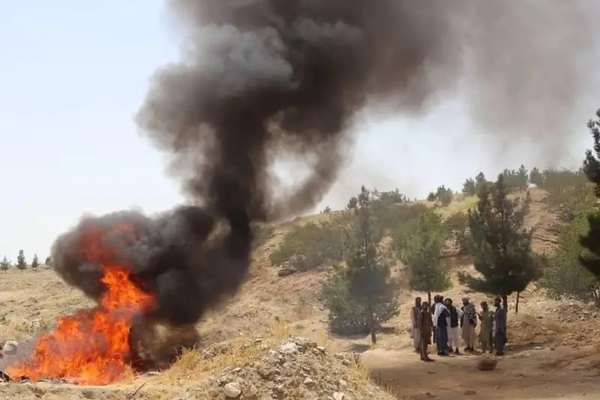 Destruction of Musical Instruments By Taliban Is An Attack on Afghan Culture, Says ANIM