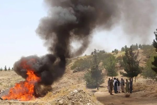 Destruction of Musical Instruments By Taliban Is An Attack on Afghan Culture, Says ANIM