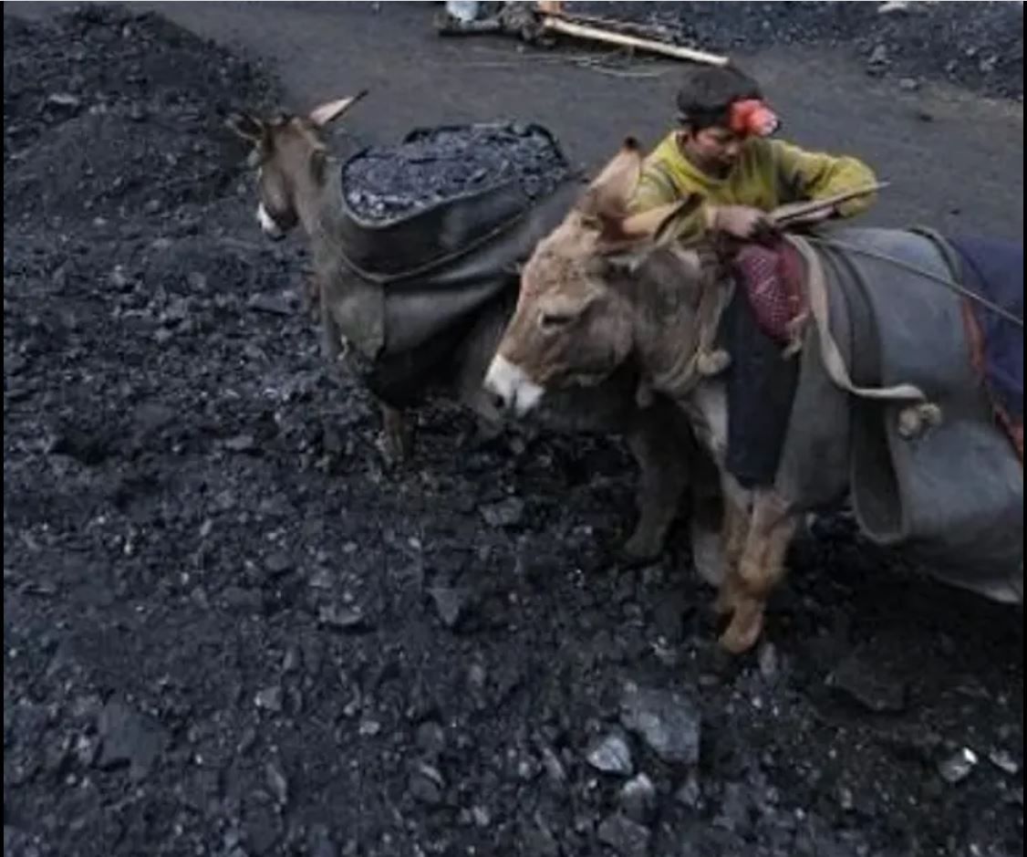 طالبان عوارض گمرکی صادرات زغال‌سنگ را کاهش داد