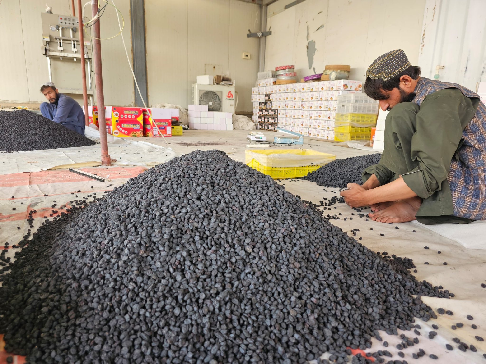 طالبان وایي، سږ کال به له کندهار څخه د وچو مېوو صادرات ۵ زره میټریک تُڼو ته ورسېږي