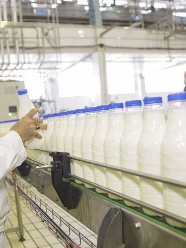 چهار کارگر افغان در ایران بازداشت شدند