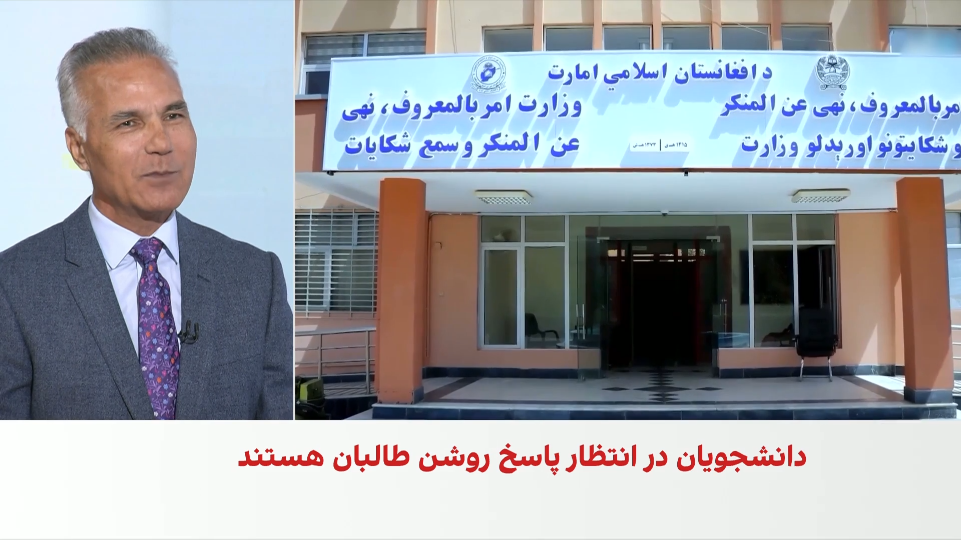 حبیبی: در ساختار طالبان «جزایر قدرت» وجود دارد