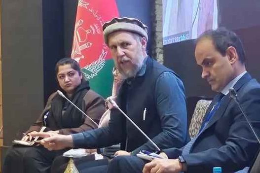 دیپلومات پیشین اتحادیه اروپا میگوید رهبران طالبان 'مادیپرست' و در پی ازدواج متعدد هستند