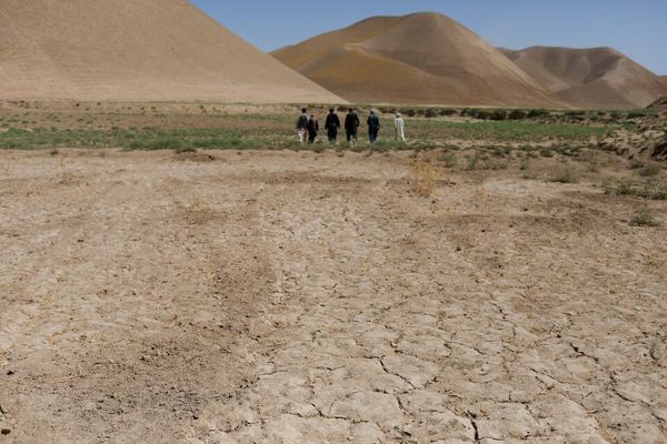 بیش از ۳ میلیون نفر از خشکسالی در افغانستان آسیب دیدهاند