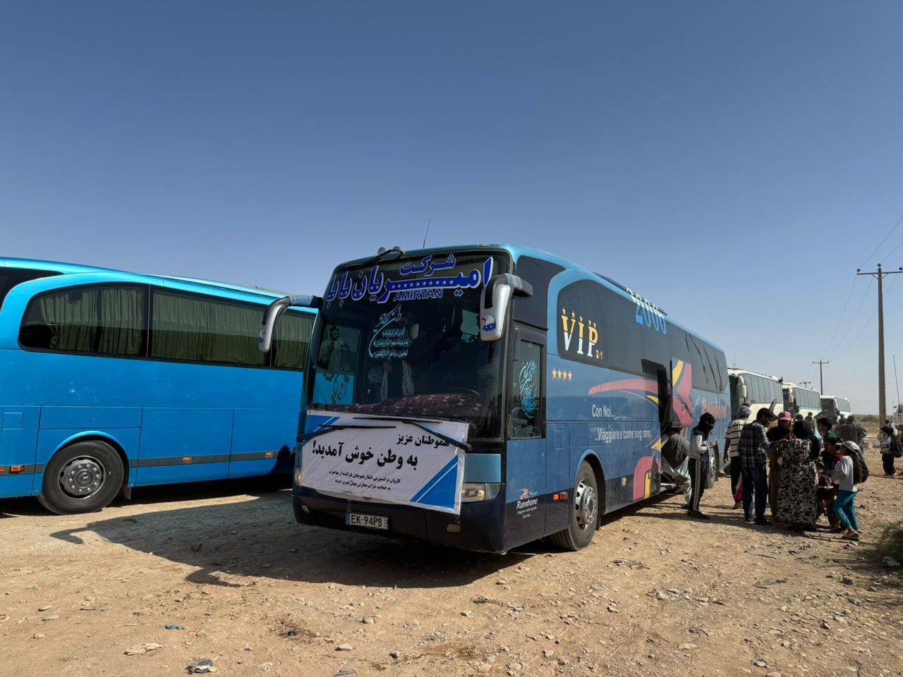 بس‌های مسافربری در هرات که توسط تاجران برای انتقال مهاجران اخراج شده، اماده شده است