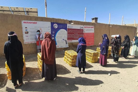 روز جهانی غذا؛ سازمان ملل میگوید از هر سه افغان یک نفر با ناامنی غذایی مواجه است