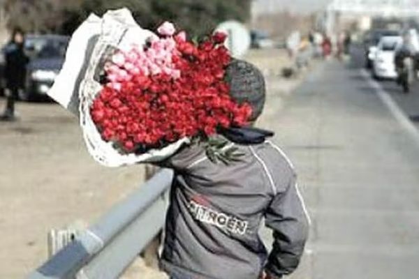 Iran To Continue Deportation Of Afghan Child Labourers, Says Official