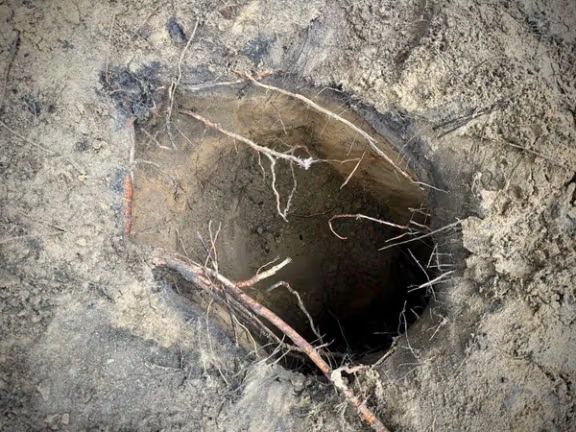 اعتقال 130 لاجئاً بينهم أفغان على الحدود البولندية