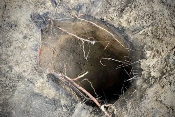 اعتقال 130 لاجئاً بينهم أفغان على الحدود البولندية