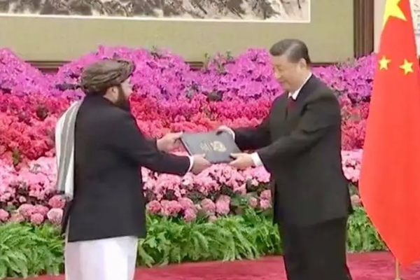 China's Xi Receives Credentials Of Taliban Representative