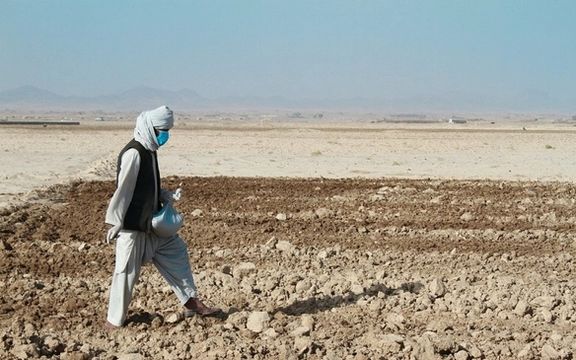 سازمان غذا و کشاورزی ملل متحد به بیش از ۹ میلیون نفر در افغانستان کمک میکند