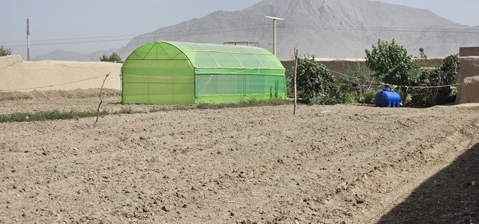 په کندهار کې د ۱۲ مېلیونه افغانیو په لګښت ۱۰۰ شنې خونې جوړې شوې