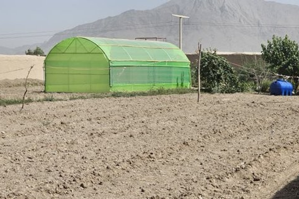 په کندهار کې د ۱۲ مېلیونه افغانیو په لګښت ۱۰۰ شنې خونې جوړې شوې