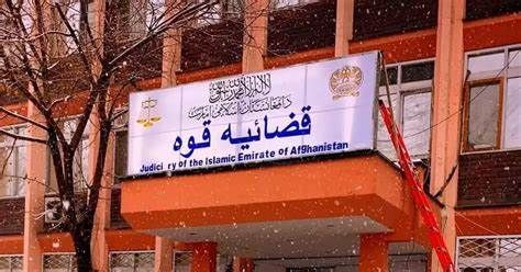 طالبان فردی را در پکتیکا به اتهام 'سرقت' شلاق زد