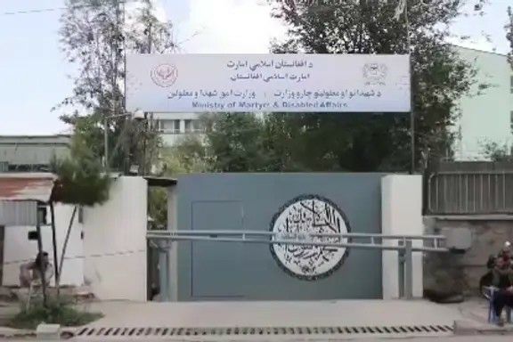 طالبان وايي تر ۱۰ میلیارده زیاتې افغانۍ یې پر «یتیمانو او کونډو» وېشلې دي