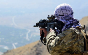 لانګ وار ژورنال: د ازادۍ جبهې سږ کال د څلورو قوماندانانو په ګډون د طالبانو ۲۳۹ غړي وژلي