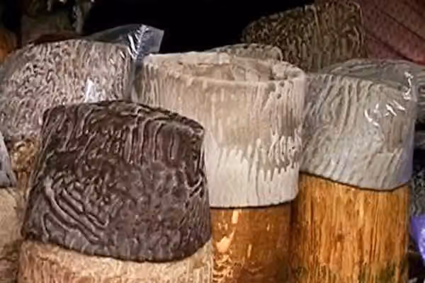 په شپږو میاشتو کې له افغانستان نه نږدې ۴۰زره د قرهقل پوستکي بهر ته صادر شوي