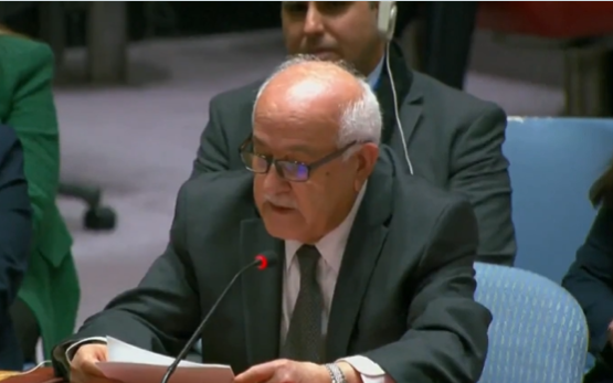 نماینده فلسطین در سازمان ملل: کشتار مردم فلسطین باعث تامین امنیت اسرائیل نخواهد شد